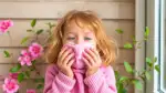 Luftreinigung zur Pollen-Saison