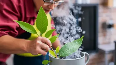Regelmäßige Ventilatorwartung für optimale Luftzirkulation