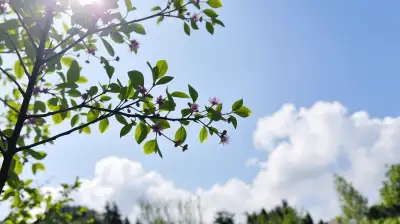 Luftaustausch optimieren