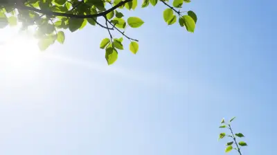 Energieeffiziente Lüftungssysteme im Fokus