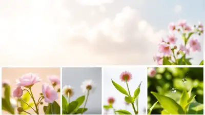 Verdunsterkühler richtig warten