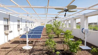 Photovoltaik-Ventilatoren: Nachhaltige Kühlung