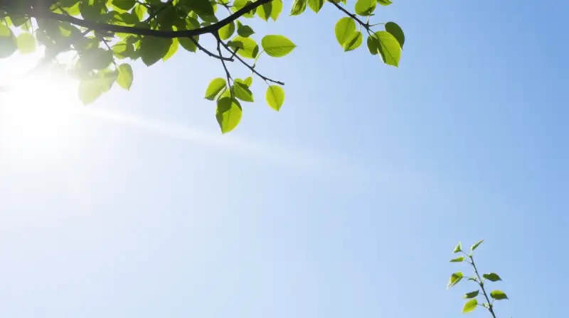 Energieeffiziente Lüftungssysteme im Fokus
