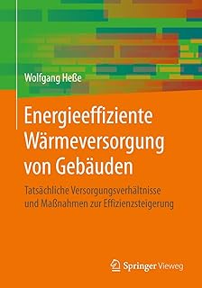Energieeffiziente Wärmeversorgung von Gebäuden: Tatsächliche Versorgungsverhältnisse und Maß…