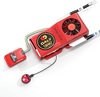 DALY BMS Parallelmodul 1 A mit Smart BMS LiFePo4 8S 24 V 250 A Lüfter und CAN-Port, Smart BMS Bl…