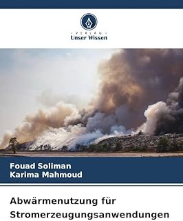 Abwärmenutzung für Stromerzeugungsanwendungen: DE
