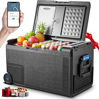 AAOBOSI Kompressor Kühlbox 38L, Kühlbox Auto -20°C bis 20°C, Robuste Kühlbox 12V 230V für A…