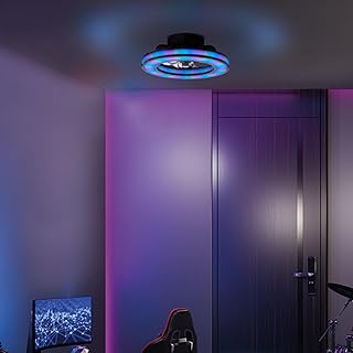 Lightbox LED Deckenlampe mit leisem Ventilator & RGB-Front Light | Ø 42 | schwarze Deckenleuchte…