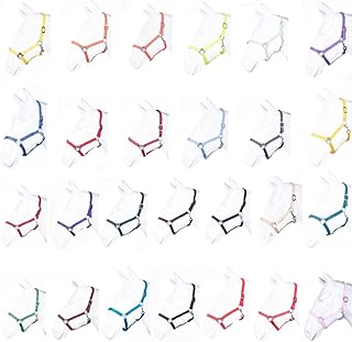 RL24 – Nylonhalfter BASICLINE