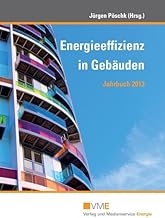 Energieeffizienz in Gebäuden – Jahrbuch 2013