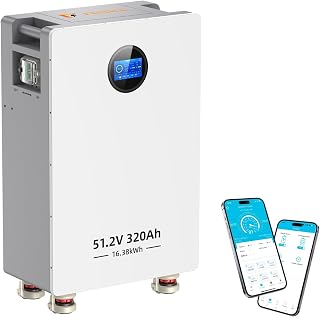 48V 320Ah LiFePO4 Batterie 16.384kWh Stromspeicher und Leistungsschaltern 200A BMS RS485/CAN/RS23…